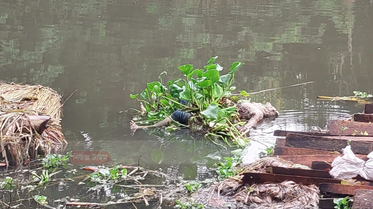 সালথায় অজ্ঞাত যুবকের অর্ধগলিত লাশ উদ্ধার