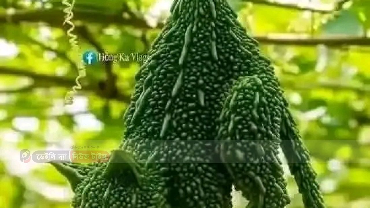 আবহাওয়া অধিদপ্তর থেকে সরাসরি 