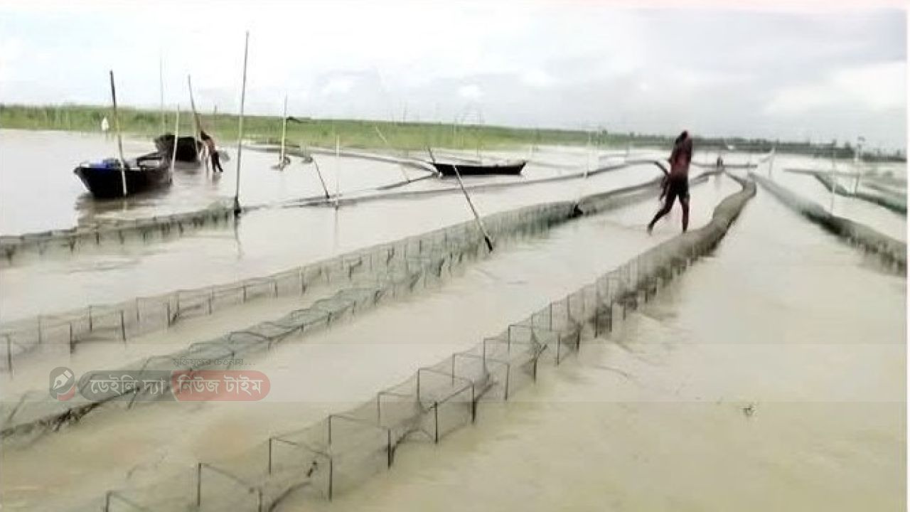 দশমিনার তেতুলিয়া ও বুড়া গৌরাঙ্গ নদীর বিভিন্ন পয়েন্টে অবৈধ চায়না রিং জাল দিয়ে মাছ শিকারের মহা উৎসব নীরব ভূমিকায় নৌ ও মৎস্য
