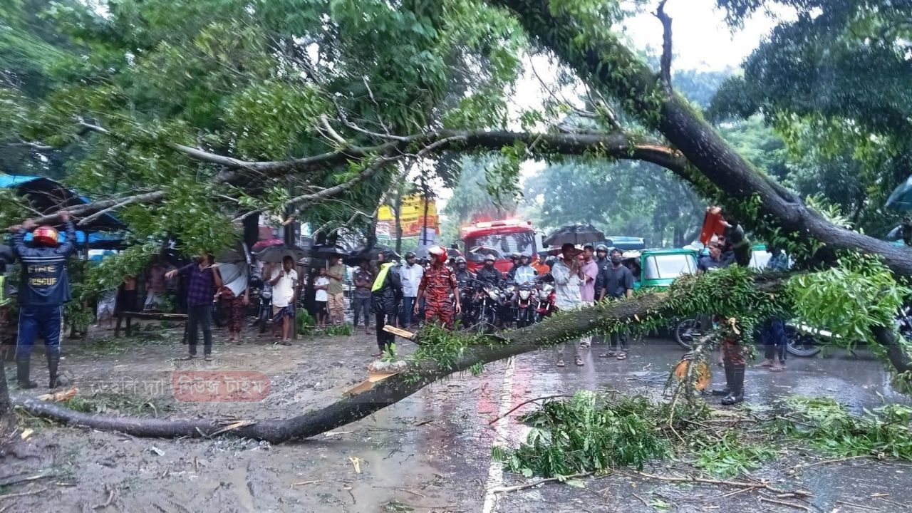 মেজরটিলা এলাকায় সড়কে গাছ পড়ে যান চলাচল বন্ধ,।