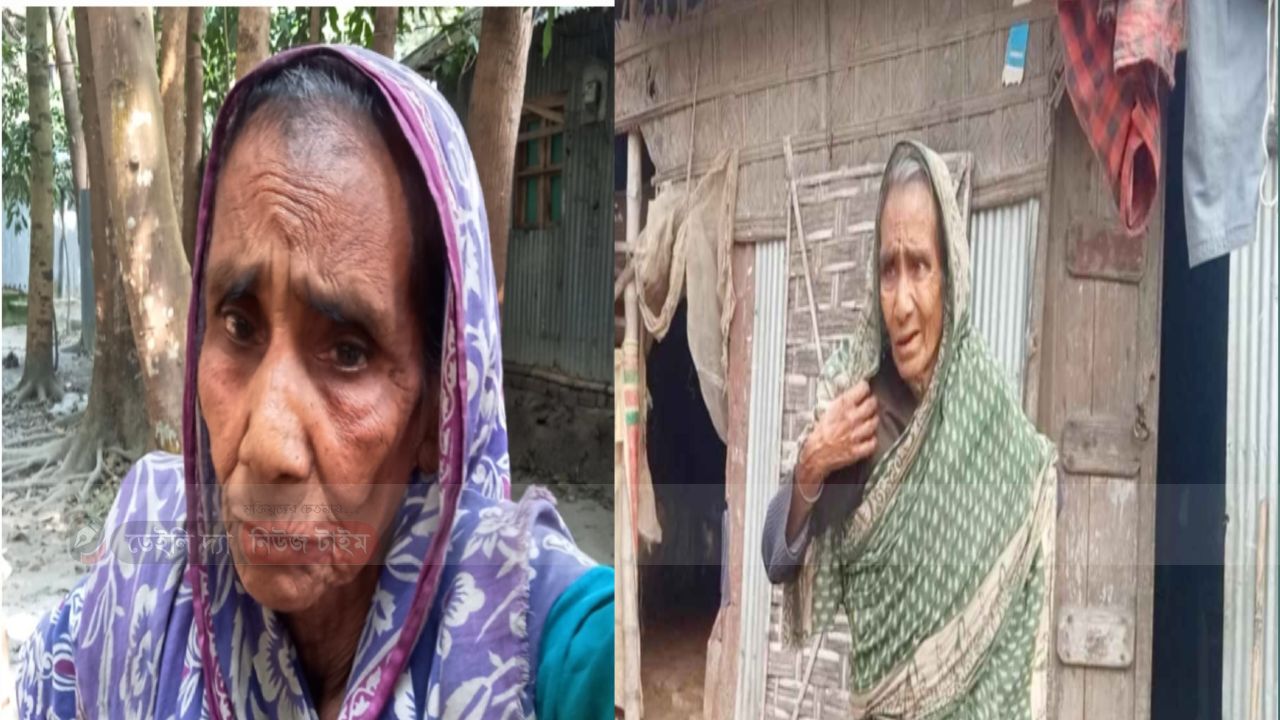মুই চলবার পামনা মোক একান কার্ড করি দেও বাহে ৭০ বছর বয়সেও ভিক্ষুক ছকিনার হয়নি কোন ভাতা আর কত বয়স হলে বয়স্ক কিংবা বিধবা ভাতা পাবেন এই প্রশ্ন বৃদ্ধা ছকিনার।