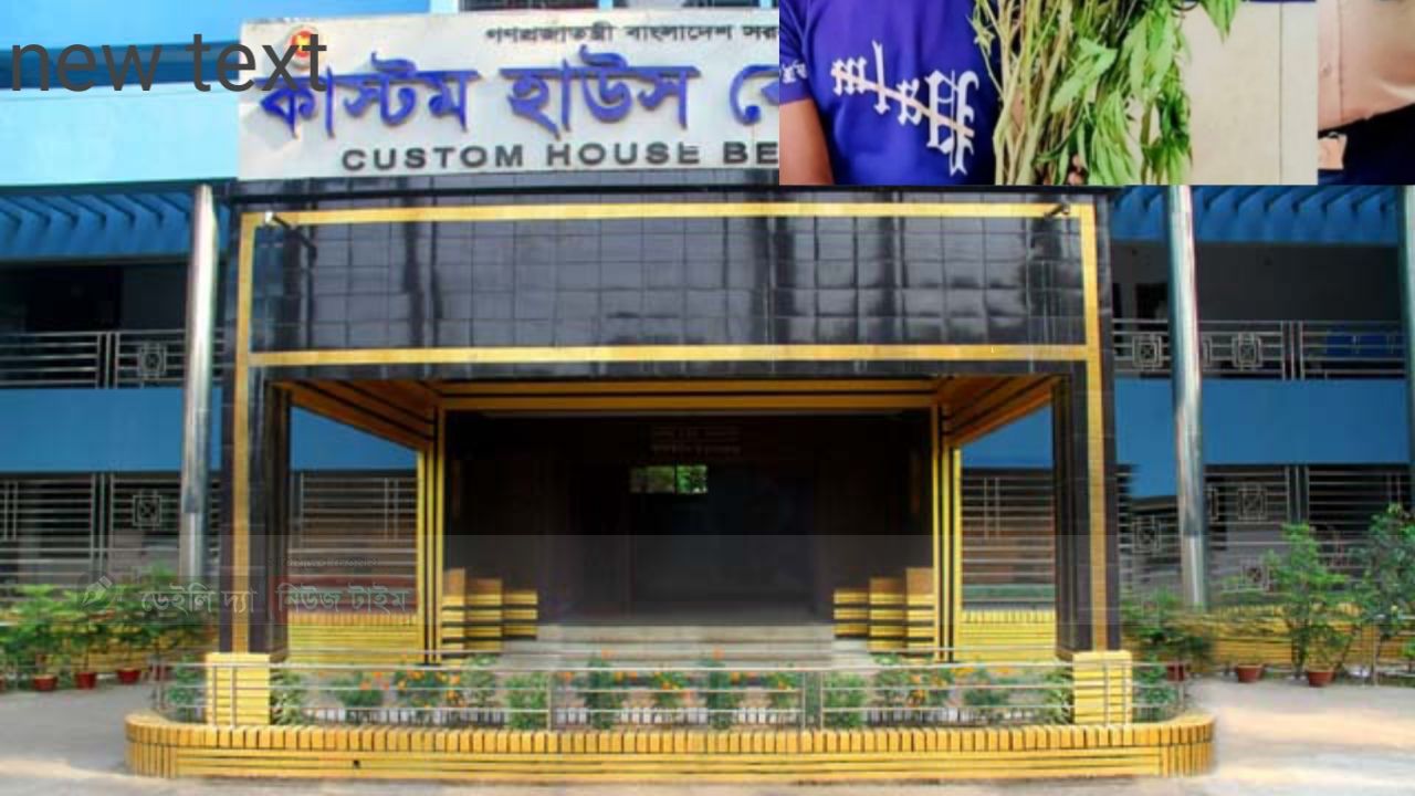 বেনাপোল কাস্টমসে দুর্নীতি দমন অভিযান: ১৪০ এনজিও কর্মী অপসারণ