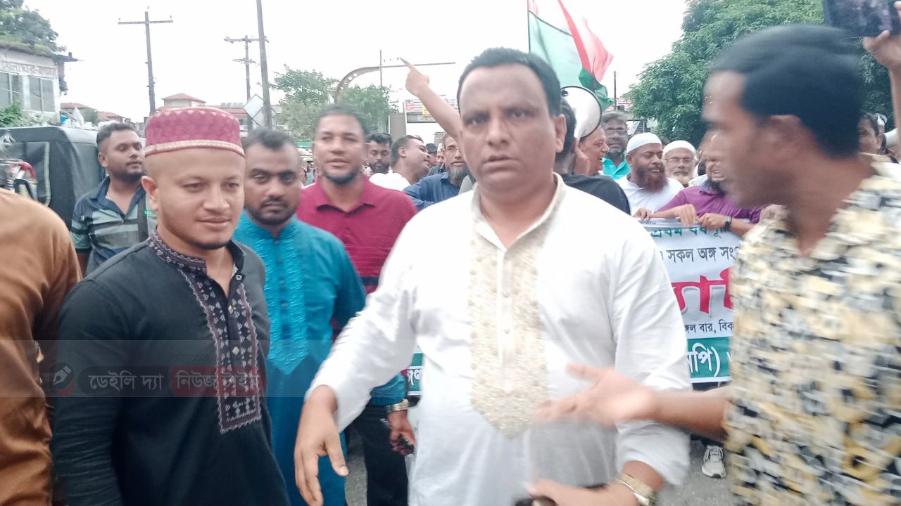 ফ্যাসিবাদের পতনের ১ বছর পুর্তিতে লালমাই উপজেলা বাগমারা বাজারে বিএনপির আনন্দ মিছিল।