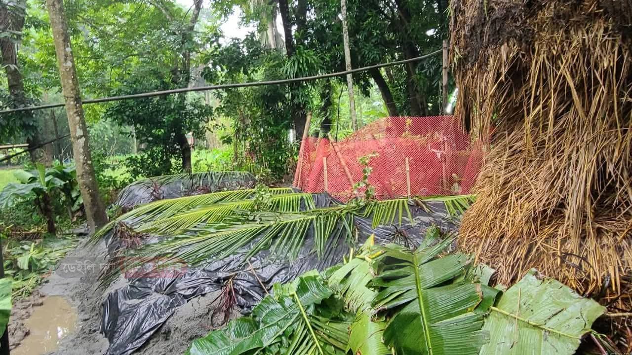 এক পরিবারের সাত কবর, এলাকায় শোকের মাতম।