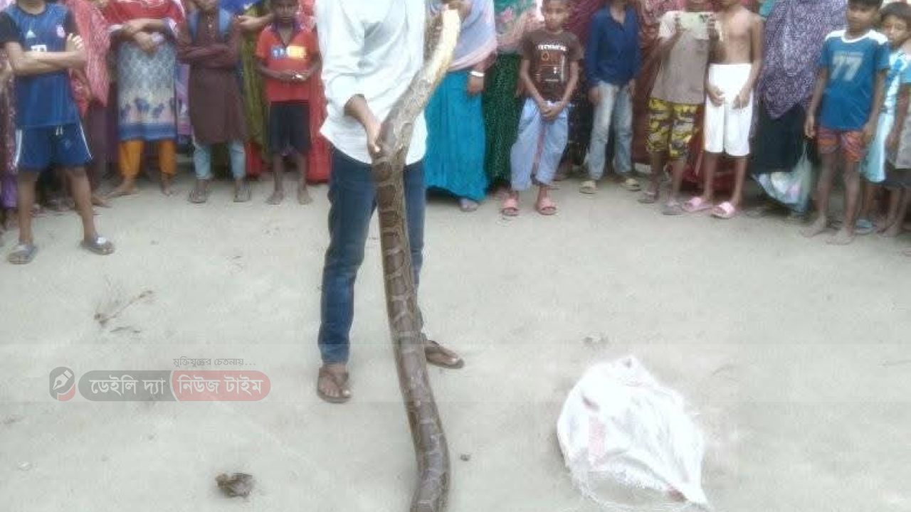 কুড়িগ্রামে ১০ফুট দৈঘ্যের অজগর সাপ উদ্ধার 