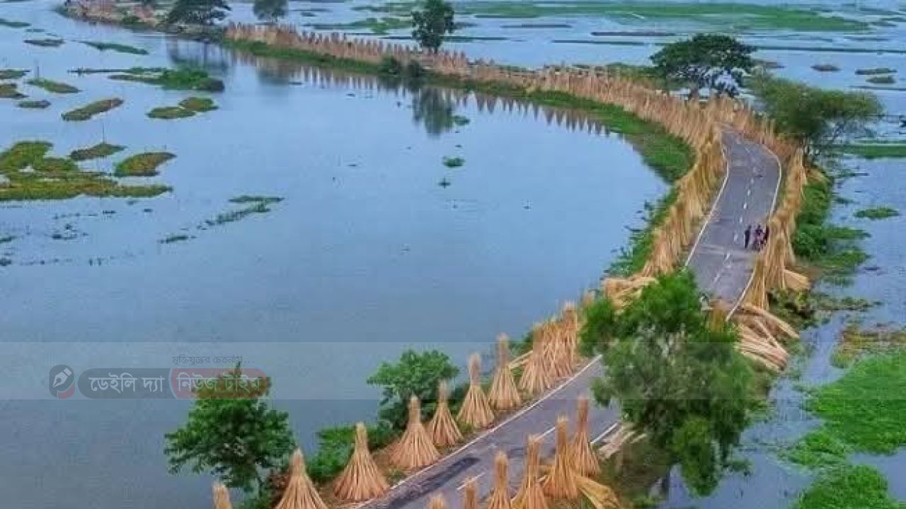 রাজবাড়ী কৃষক দের মুখে হাসি চরা দামে বিক্রি হচ্ছে পাট
