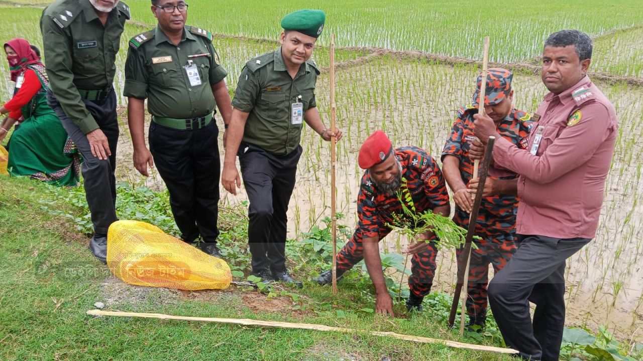 ঘোড়াঘাটে আনসার ও ভিডিপির বৃক্ষরোপণ অভিযান ২০২৫ উদ্বোধন