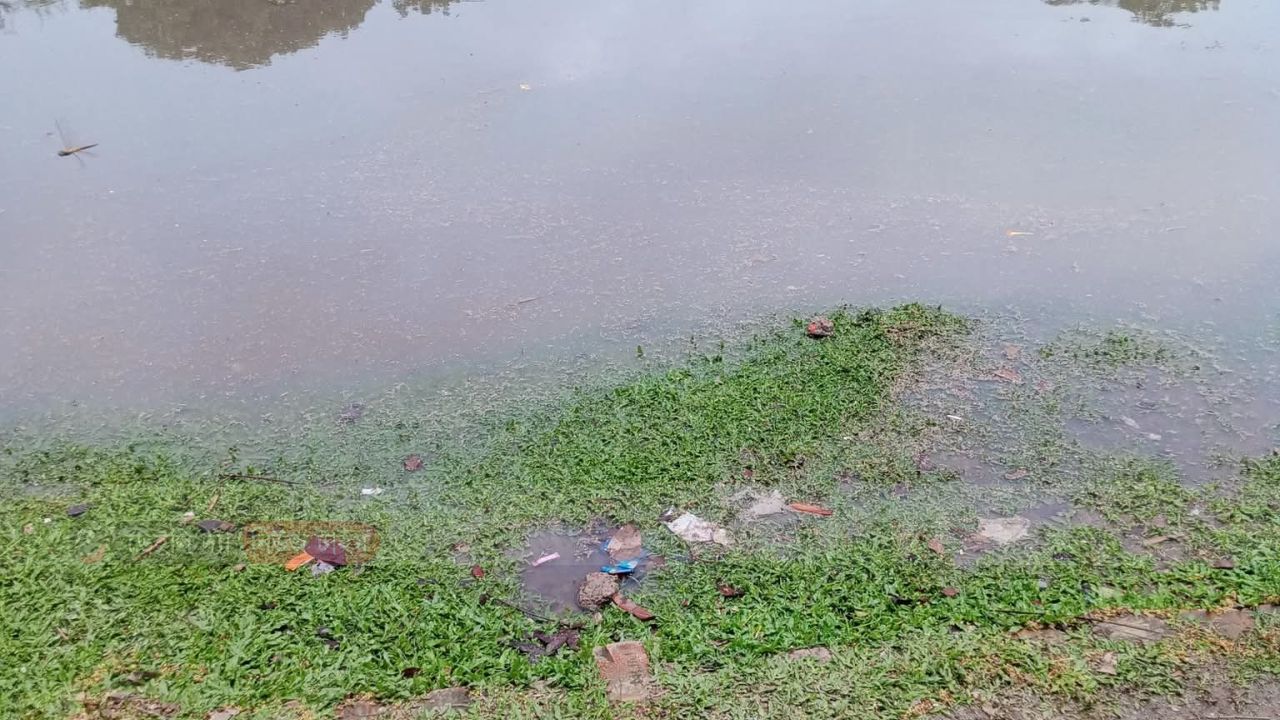 ঐতিহ্যবাহী শিক্ষা প্রতিষ্ঠান ভোটমারি এসসি উচ্চ বিদ্যালয় মাঠের অবস্থা সামান্য বৃষ্টিতে পানিবন্দি।  