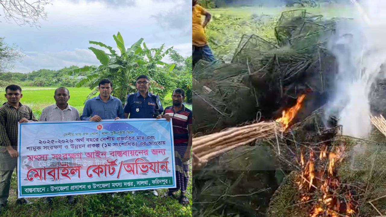 সালথায় তিন লক্ষ টাকার অবৈধ চায়না দুয়ারি জাল পুড়িয়ে ধ্বংস