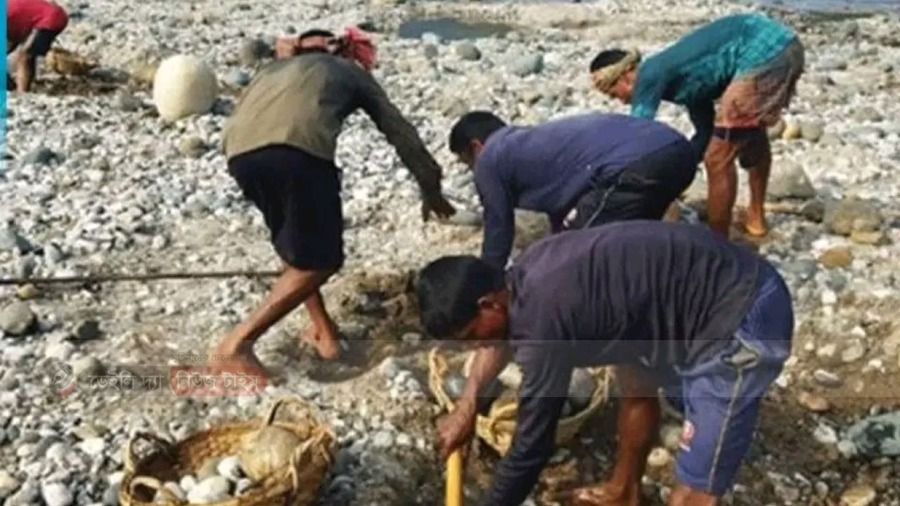 সিলেট নিউজ 