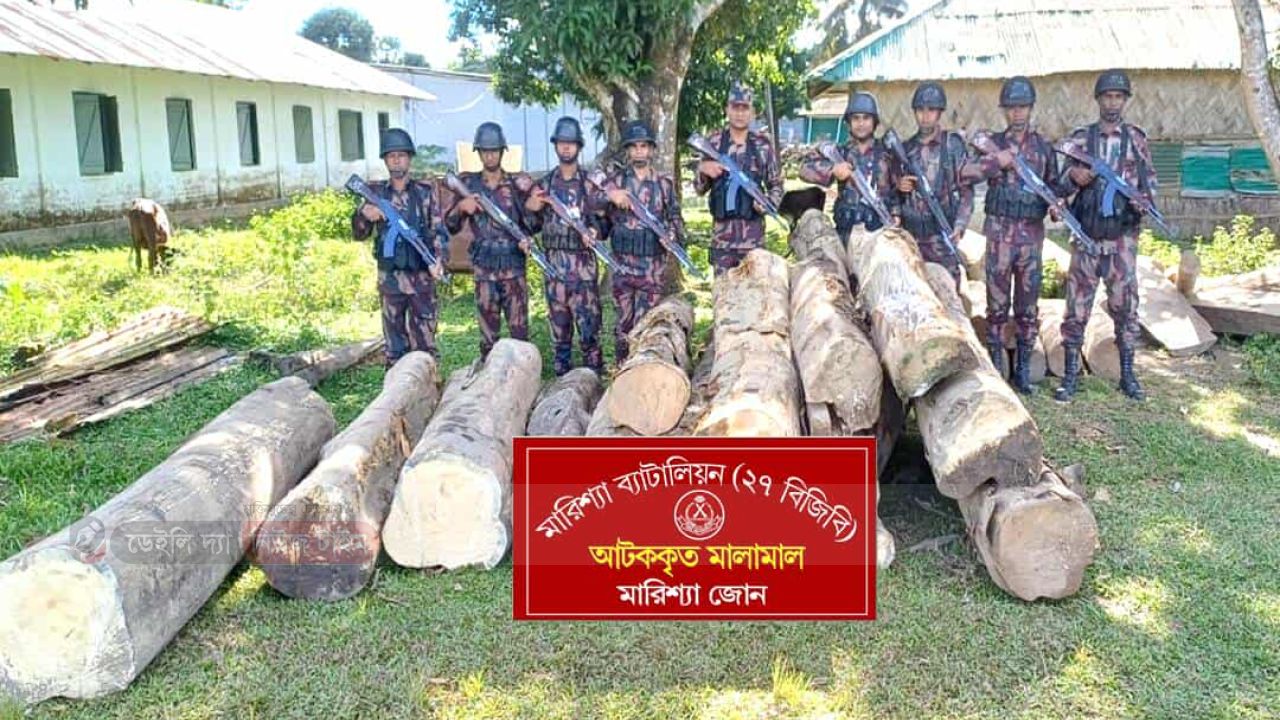 বাঘাইছড়িতে বিজিবির বিশেষ অভিযানে অবৈধ  কাঠ জব্দ