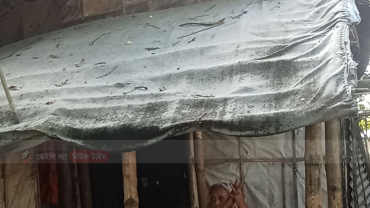 শুইলে দেখা যায় চাঁদের আলো