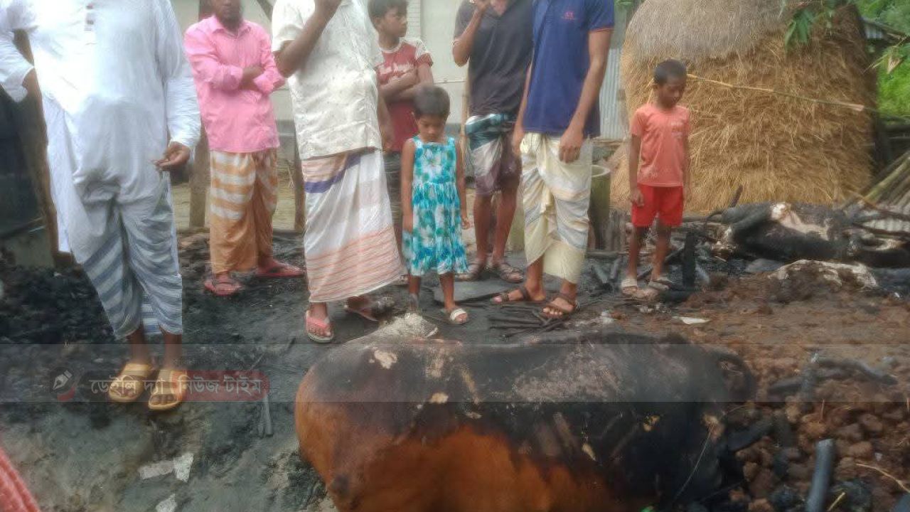 রায়গঞ্জ অগ্নিকান্ড: আগুনে পুরলো তিনটি গরু