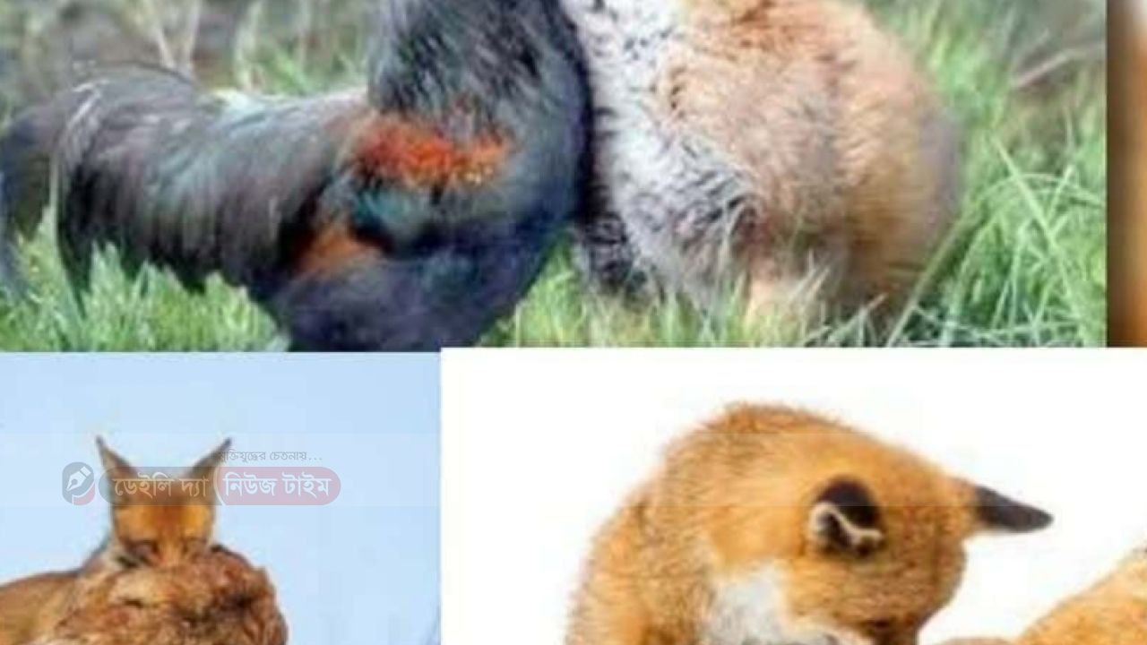 মবের মুল্লুক 