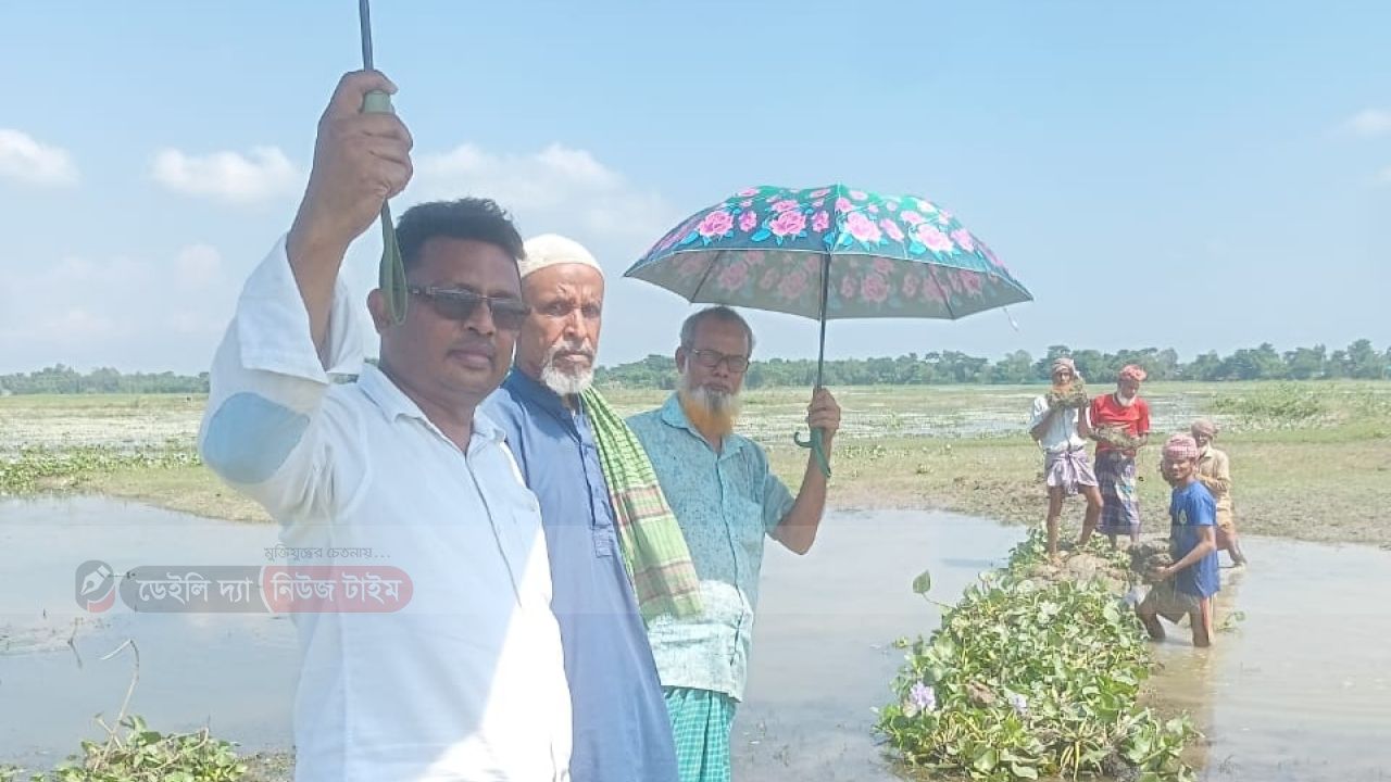 সুনামগঞ্জের শান্তিগঞ্জে ফসল রক্ষার জন্য বাঁধ 
