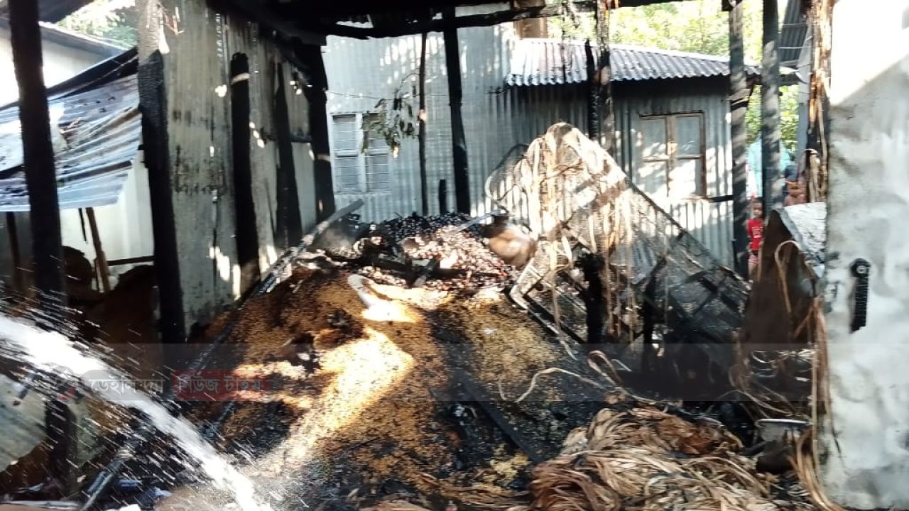 সালথায় আগুনে পুড়ে বসতবাড়ি ছাই: পাগলপ্রায় কৃষক পরিবার