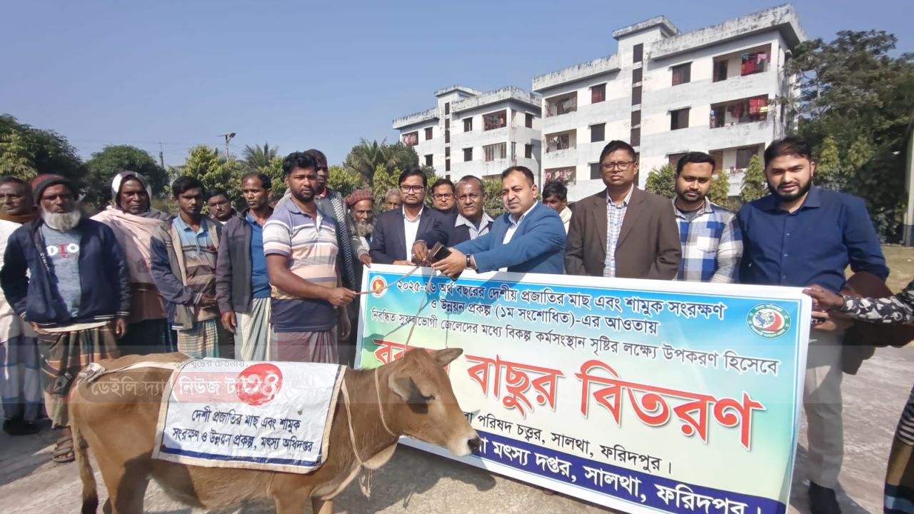 সালথায় নিবন্ধিত মৎস্যজীবীদের মাঝে ৬০টি বকনা বাছুর বিতরণ