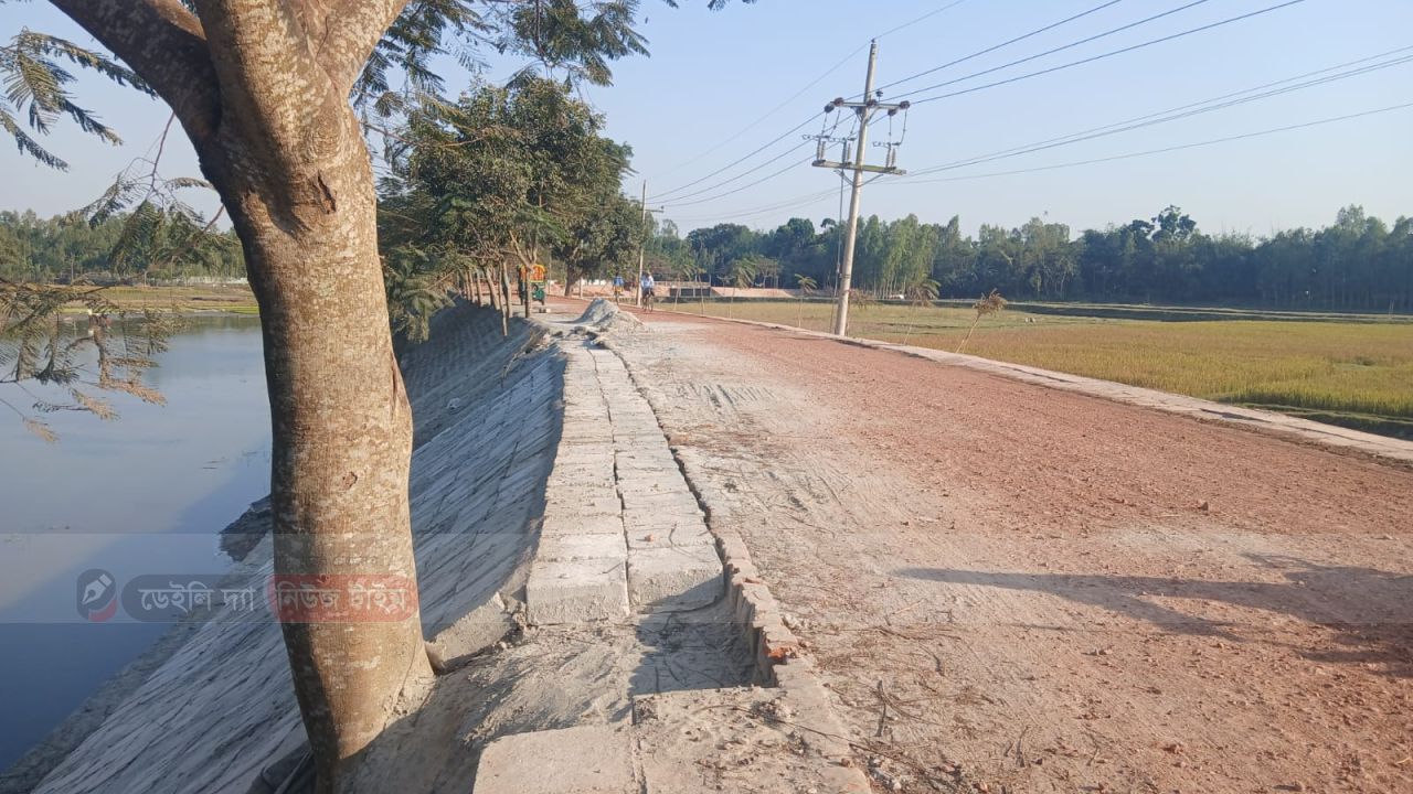 সোনায় মোড়া&rsquo; সড়কে সীমাহীন অনিয়ম  