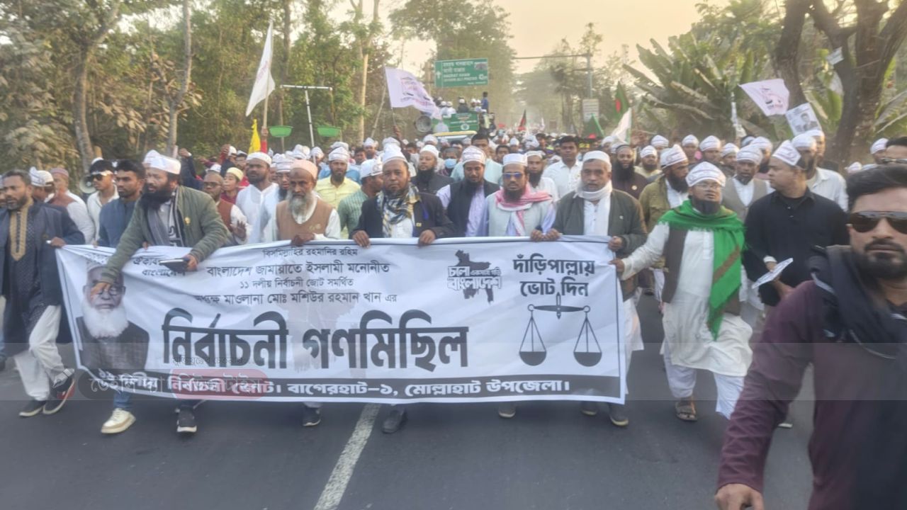 মোল্লাহাটে ১১ দলীয় জোটের নির্বাচনী গণ মিছিল অনুষ্ঠিত।