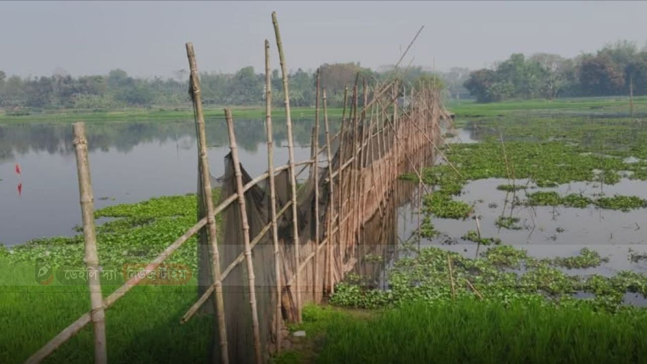 ঘোরস্বাব নদীতে অবৈধ বাঁধ ও দখলের প্রতিবাদে কাপাসিয়ায় এলাকাবাসীর মানববন্ধন ও বিক্ষোভ র&zwj;্যালি।