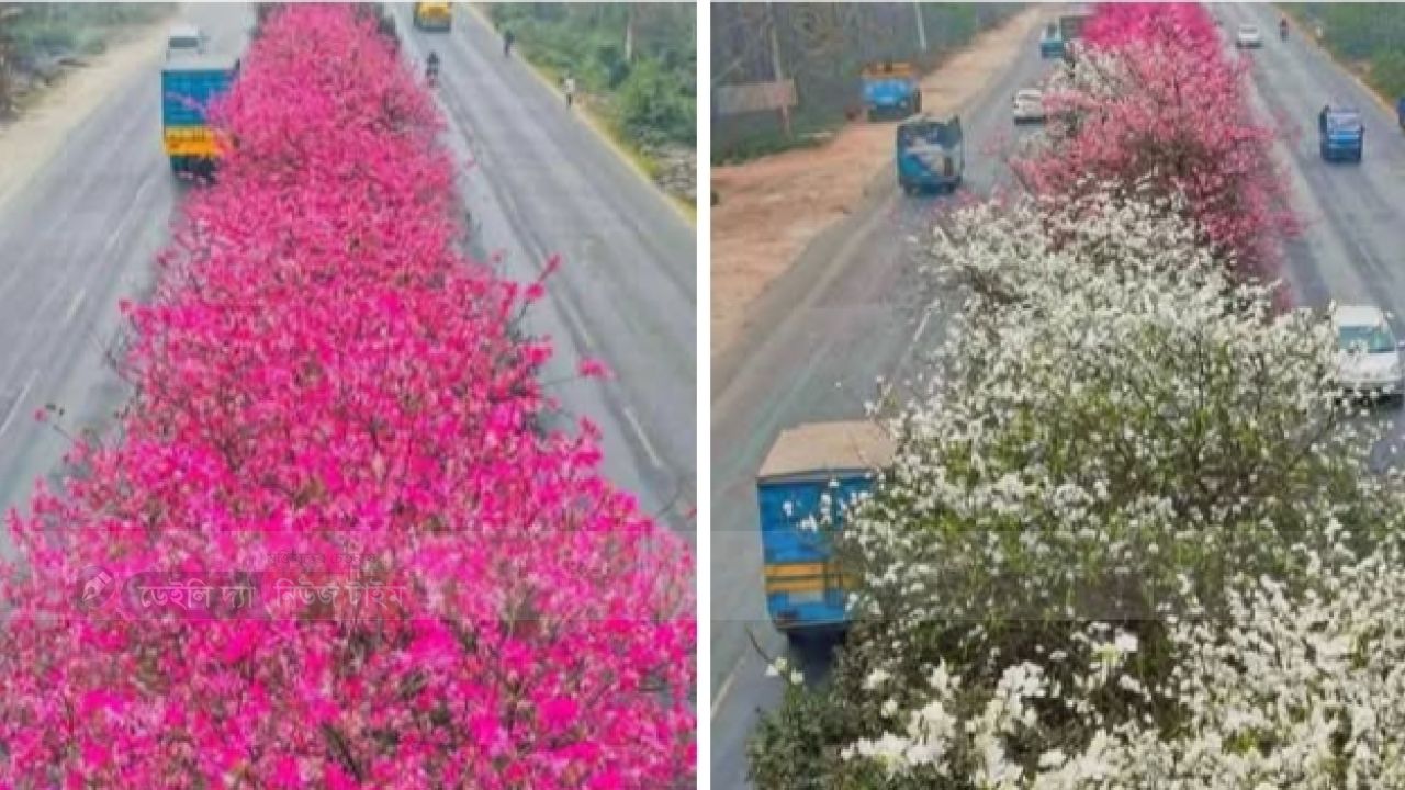 গাজীপুর যেন এক টুকরো জাপান