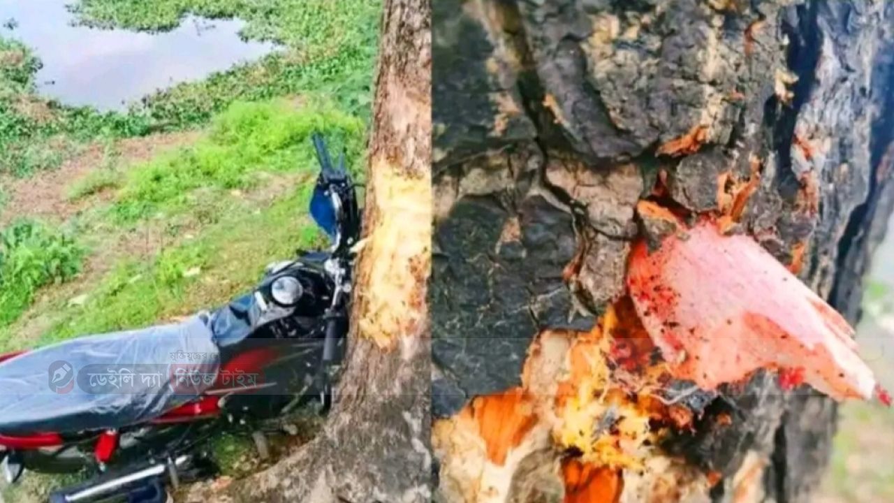শান্তিগঞ্জে মর্মান্তিক সড়ক দুর্ঘটনা,গাছের সাথে আটকে আছে নিহতের হাড়।