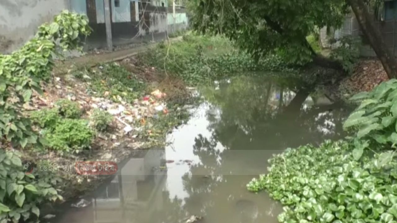 রংপুরে মশার রাজত্ব: খাল পরিষ্কারের দাবিতে ফুঁসছে জনতা