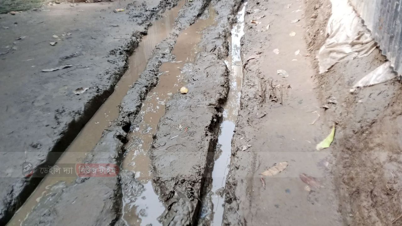 চর বোয়ালমারীর বেহাল সড়কে দুর্ভোগ চরমে, ভুট্টা ঘরে তুলতে হিমশিম কৃষক
