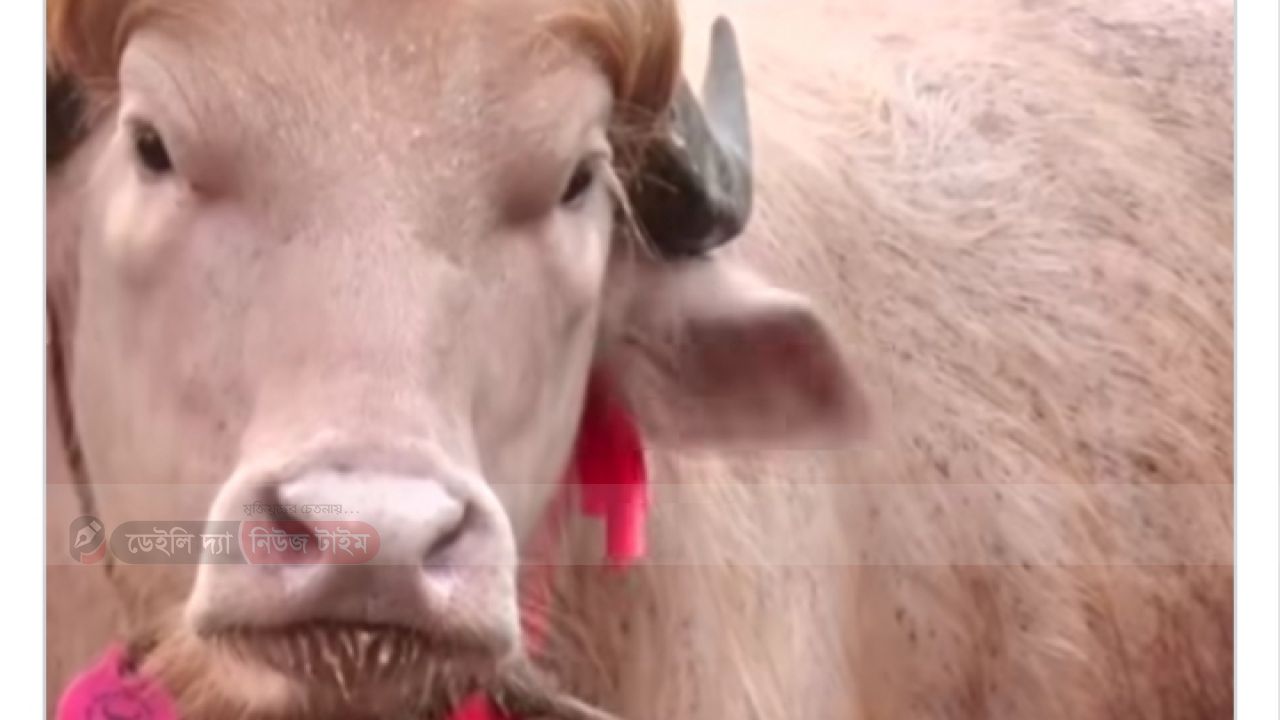 স্বরাষ্ট্রমন্ত্রীর নির্দেশে থানা হেফাজতে ডোনাল্ড ট্রাম্প   