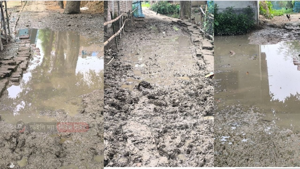 রাণীনগরের ৭নংএকডালা ইউনিয়নের নারায়ণপাড়া (জোলাপাড়া) সড়কের বেহাল দশা, চরম দুর্ভোগে এলাকাবাসী